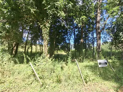 Terreno en Venta en Centro, USD 40.000