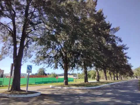 Terreno en Venta en Altos De Campo Grande, USD 150.000