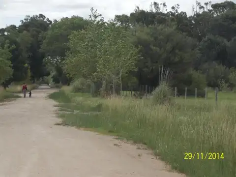 Terreno en Venta 12  mts Frente