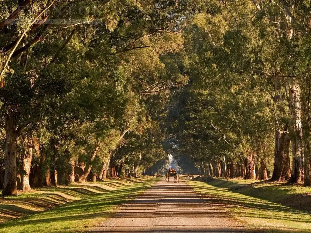 Terreno en Venta en Estancia Villa Maria