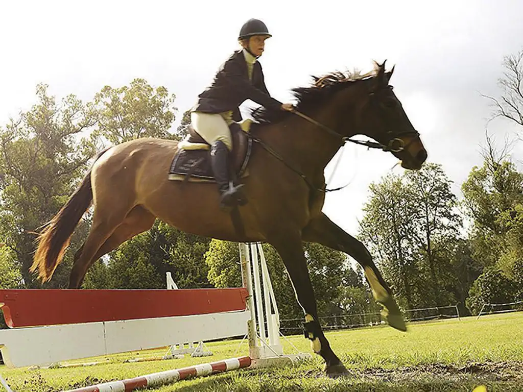 OPORTUNIDAD - Lote 1080 m2 Estancia Villa María Canning Golf Futbol Tennis Polo Pileta - Foto 20