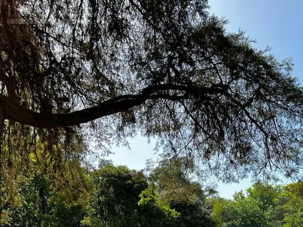 Terreno en Venta en Estancia Villa Maria