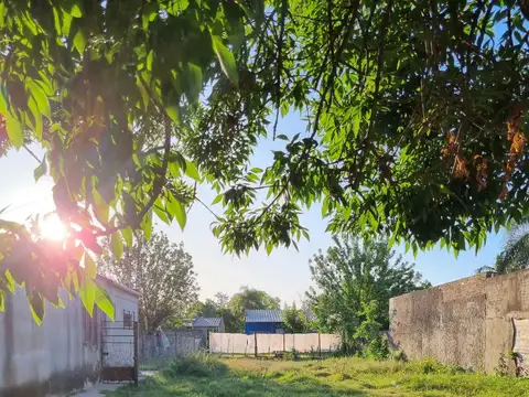 Terreno en Venta de 321,0 m2