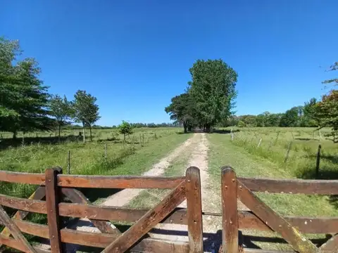 Campo en Venta en Exaltacion de la Cruz, Partido de Exaltación de la Cruz