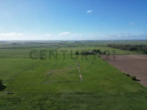 Campo de 14 hectáreas |  Ignacio Correas 22 y 699