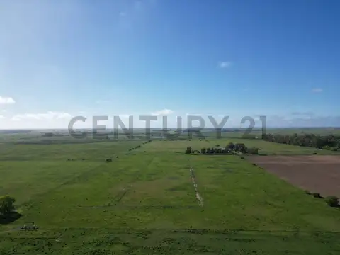 Campo de 14 hectáreas |  Ignacio Correas 22 y 699