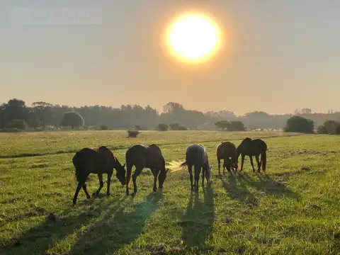 Terreno en Venta de 1542,0 m2