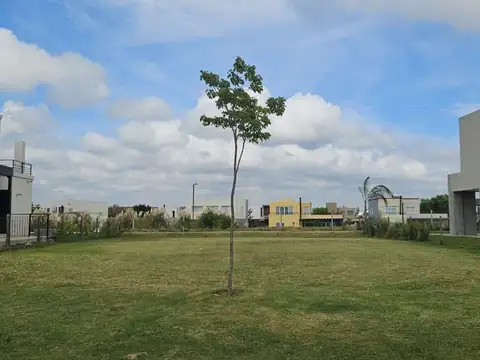 Avenida de los Lagos