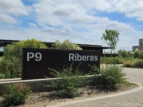 Avenida de los Lagos
