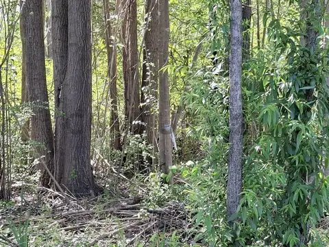 Canal Gobernador de la Serna , Piso 0