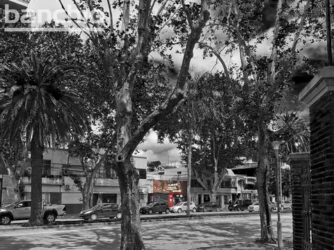 Venta Terreno Jorge Cura Rosario