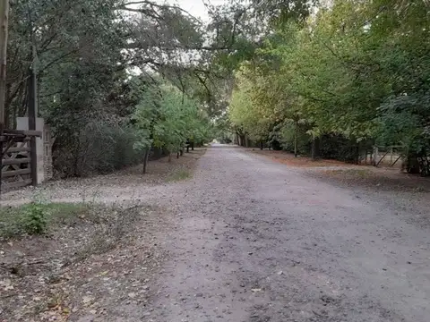 VENTA CASA QUINTA BARRIO PELUFFO CAÑUELAS