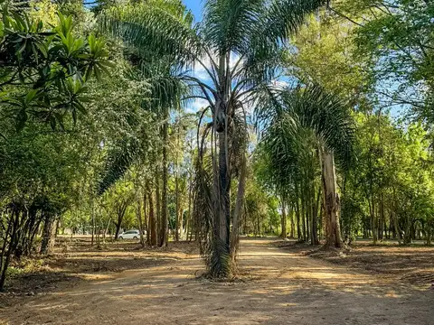 Vélez Sársfield 1700