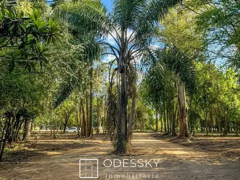 Terreno en Venta de 300,0 m2