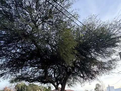 Gobernador Garzón 200