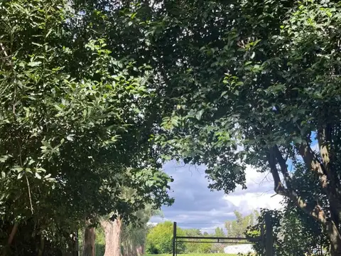 Terreno - Venta - Argentina, Villa Elisa - calle17 esquina 52