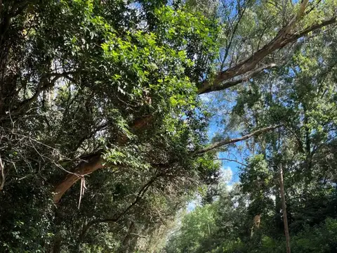 Terreno en Venta de 1810,0 m2