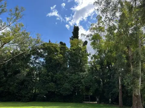 Terreno en Venta en Villa Elisa, USD 100.000