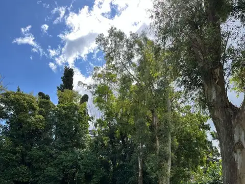 calle17 esquina 52 100