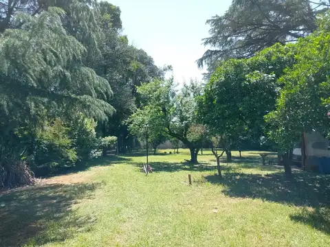 Ferrari Esq. Vieytes