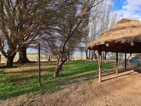 Campo en Venta de 0,01  ha