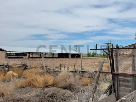 Campo en Venta de 0,01  ha
