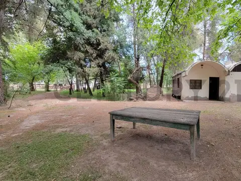 VENTA FINCA 51HA K48 UGARTECHE