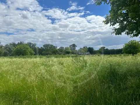 CHACRA 1 HECTAREA EN VENTA SAN ANDRES DE GILES SIN EXPENSAS