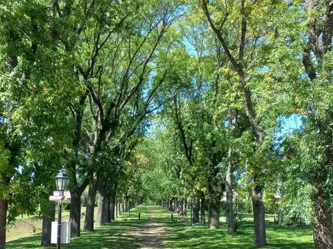 Barrio Santa Guadalupe