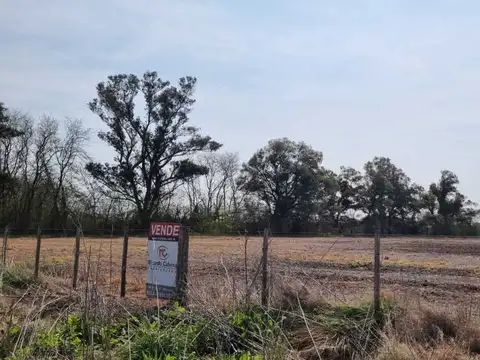 Terreno Campo  en Venta ubicado en Mercedes, Resto de la Provincia, Buenos Aires