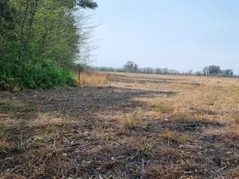 Terreno Campo  en Venta ubicado en Mercedes, Resto de la Provincia, Buenos Aires