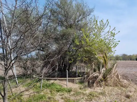 Terreno Campo  en Venta ubicado en Mercedes, Resto de la Provincia, Buenos Aires