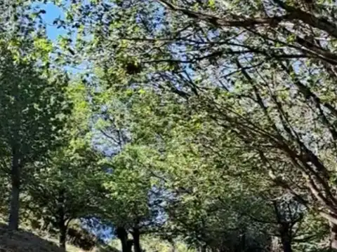 Fray Luis Beltrán al 600