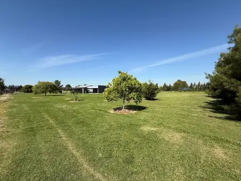 Campo con casa en venta en Uribelarrea
