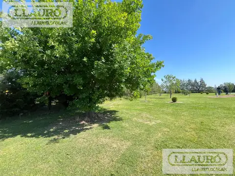 Campo con casa en venta en Uribelarrea