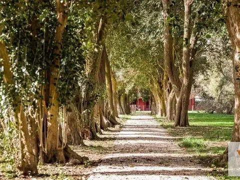 Terreno en Venta 60  mts Fondo