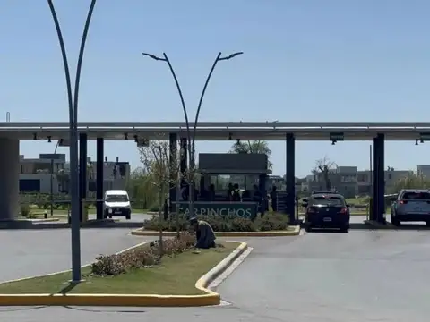 NORDELTA, LOS CARPINCHOS