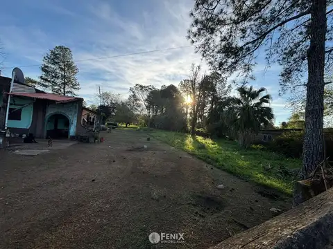 San Martin