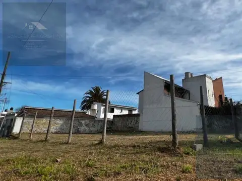 Mariani y Calasanz