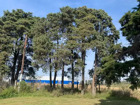 LOTE USO INDUSTRIAL VENTA ROSARIO/PEREZ