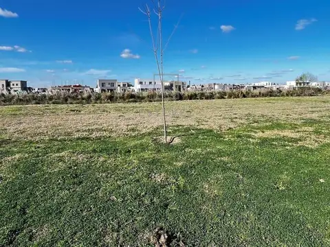 El Naudir 900