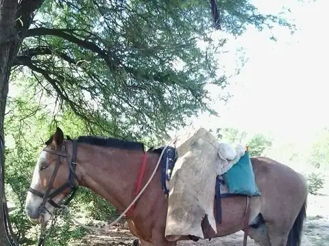 Estancia armada agríc.ganadera