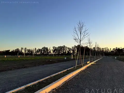 Terreno en Venta 24  mts Frente