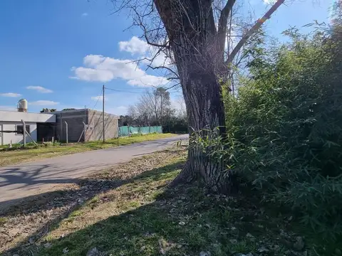 Terreno en Venta 46  mts Fondo