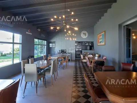 Dip. Nicandro Rodríguez 100