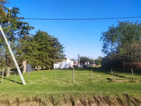 Rivadavia 100