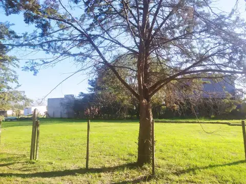 Terreno en Venta en Empalme Lobos, USD 22.000
