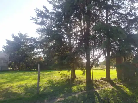 Terreno en Venta 20,58  mts Fondo
