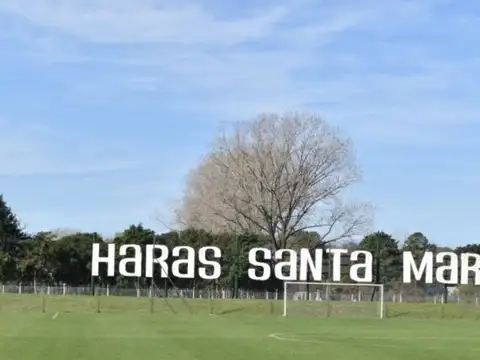 Haras Santa Maria Barrio "El TREBOL"  sobre GOLF