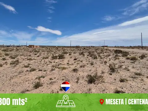 Terreno en Venta en Centenario, Confluencia